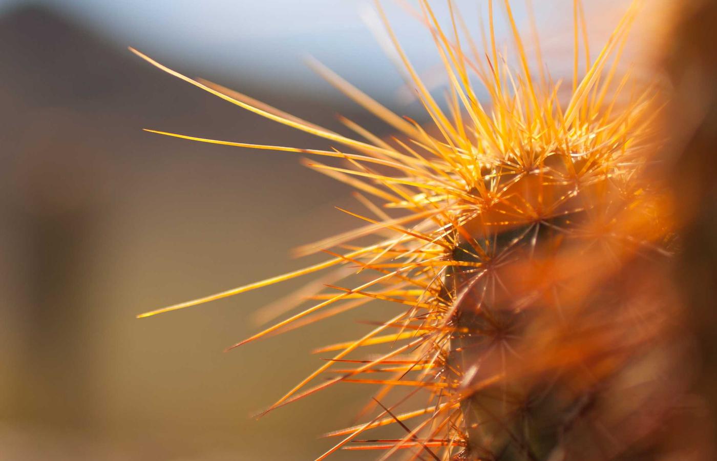 A communication satellite with its solar panels extended, against a backdrop of Earth.